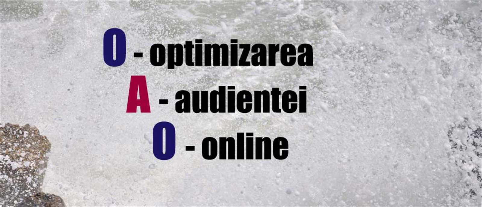 OAO - Optimizarea audientei online - noul trend in online